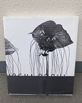 Amazon.co.jp: 愛の花 荒木経惟 アラーキー Araki Nobuyoshi